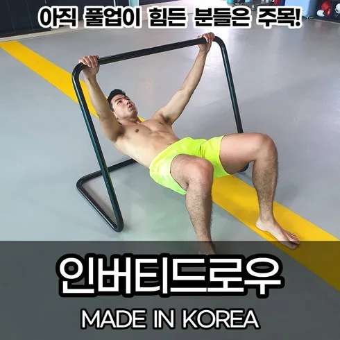 가성비 좋은 인버티드로우 웨이트기구 가격비교